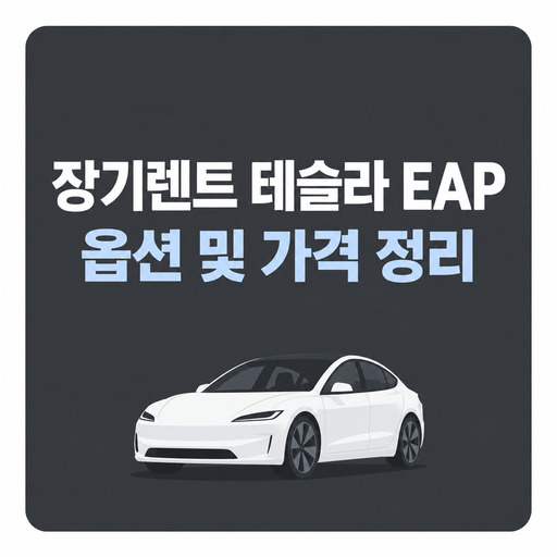 장기렌트-테슬라-EAP-옵션-및-가격-정리.jpg